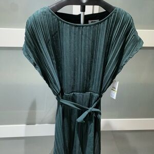 DKNY Dark Green Garment